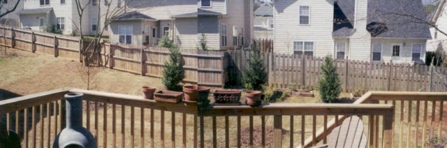 backyard1.jpg