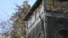 pinecrestbedandbreakfastashevillenc15_small.jpg