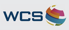 Worldwide Chain Stores Logo | WCS-WMS